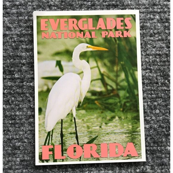 VTG National Park Postcards Set Of 4 Yosemite Everglades Yellowstone Mt. Rainier - Picture 11 of 13